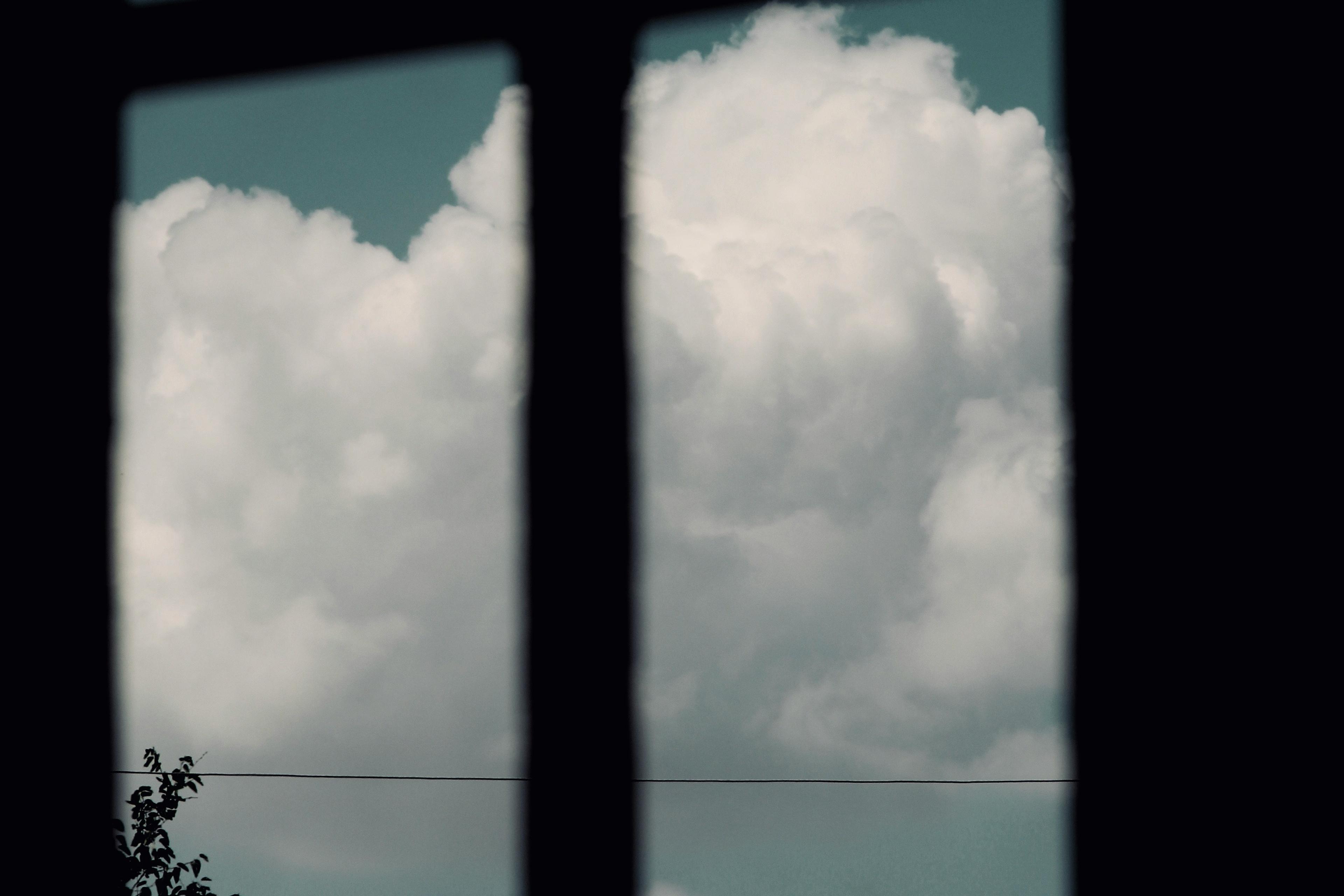 Photo of a large cloud viewed through a window framed by silhouetted trees and power lines.