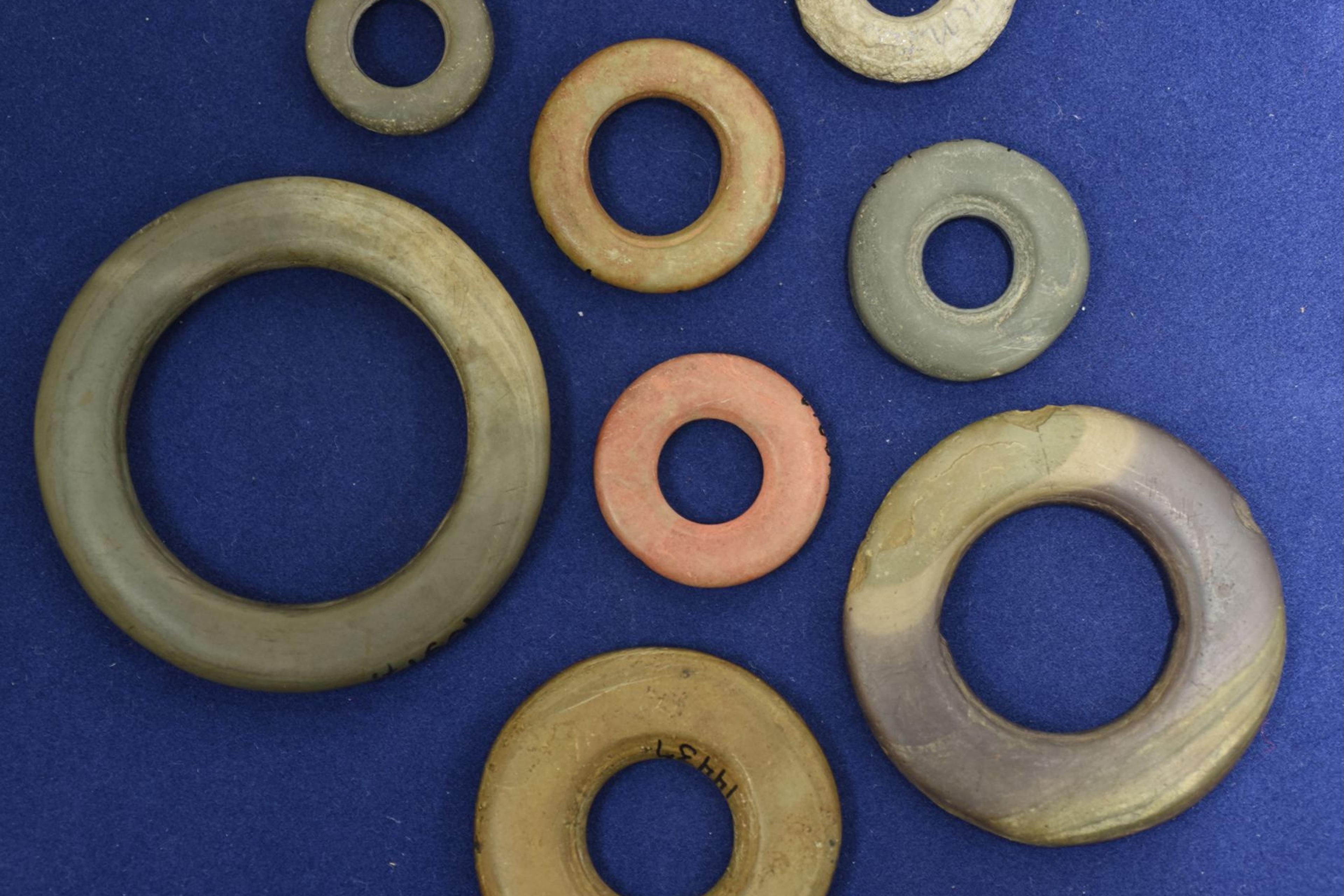 Photo of eight varied stone doughnut-shaped artefacts on a blue background with a 5 cm scale bar.