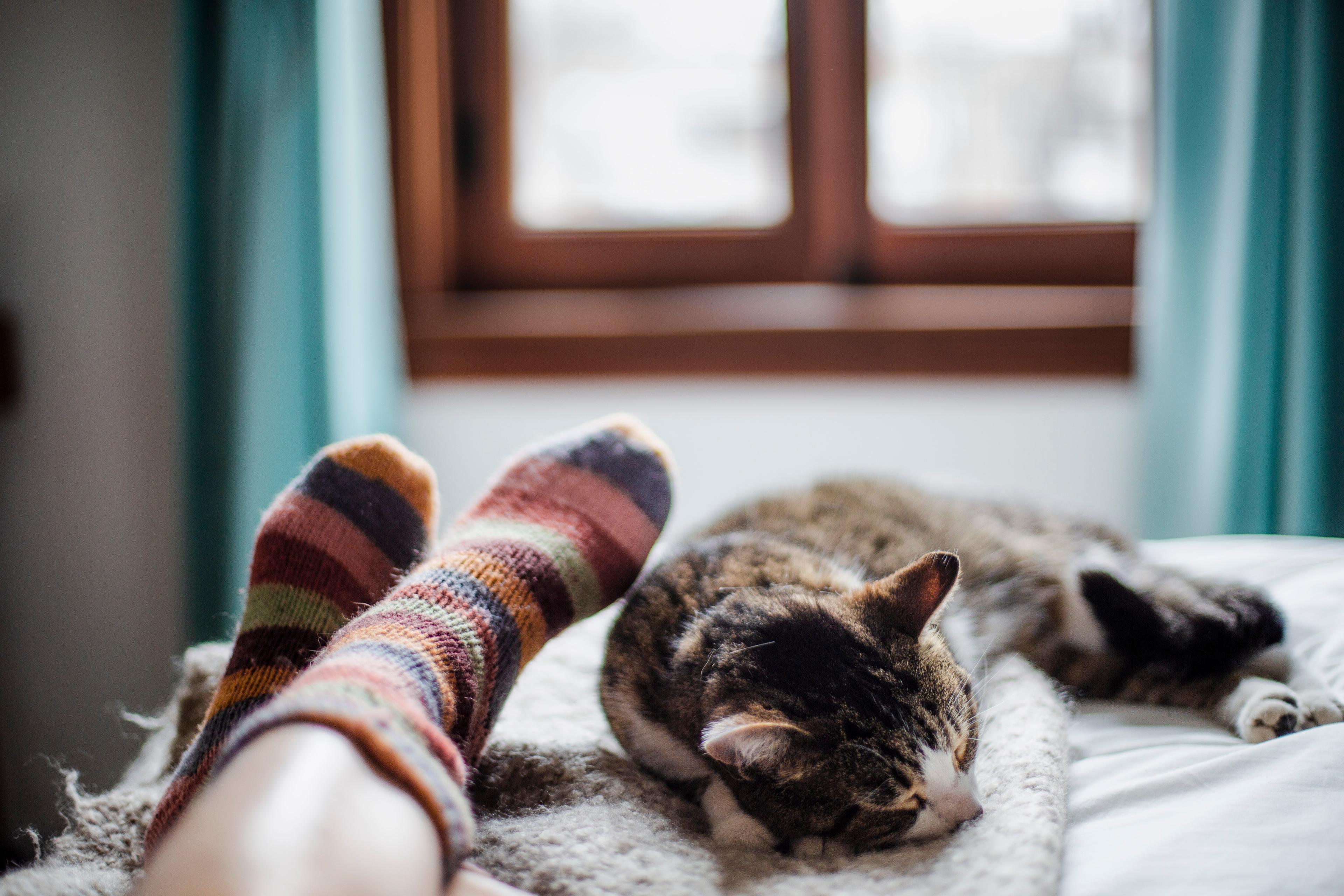 Photo of a person wearing colourful striped socks and a sleeping tabby cat on a bed by a window with blue curtains.