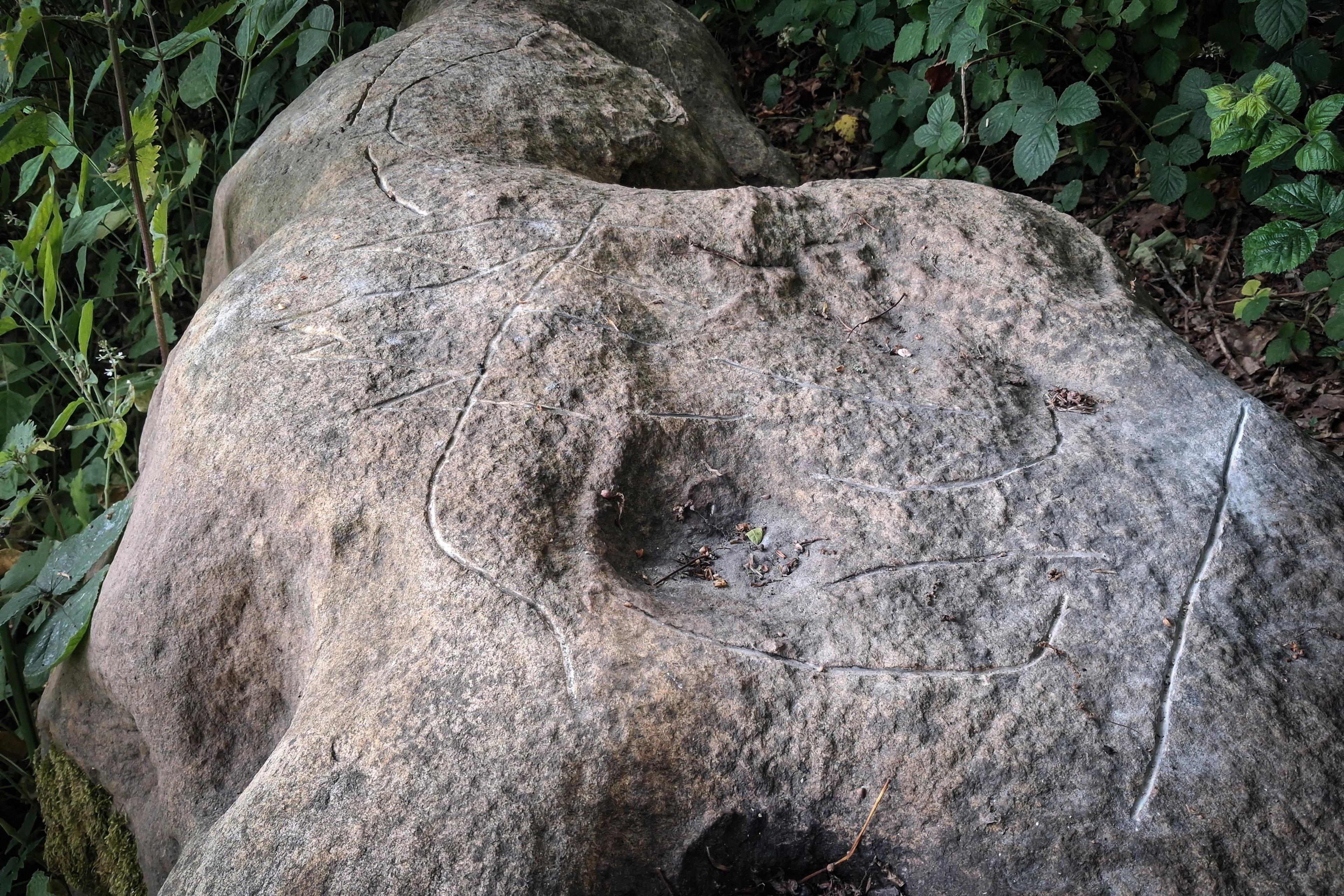 A large rock with carvings and natural indentations surrounded by green foliage.