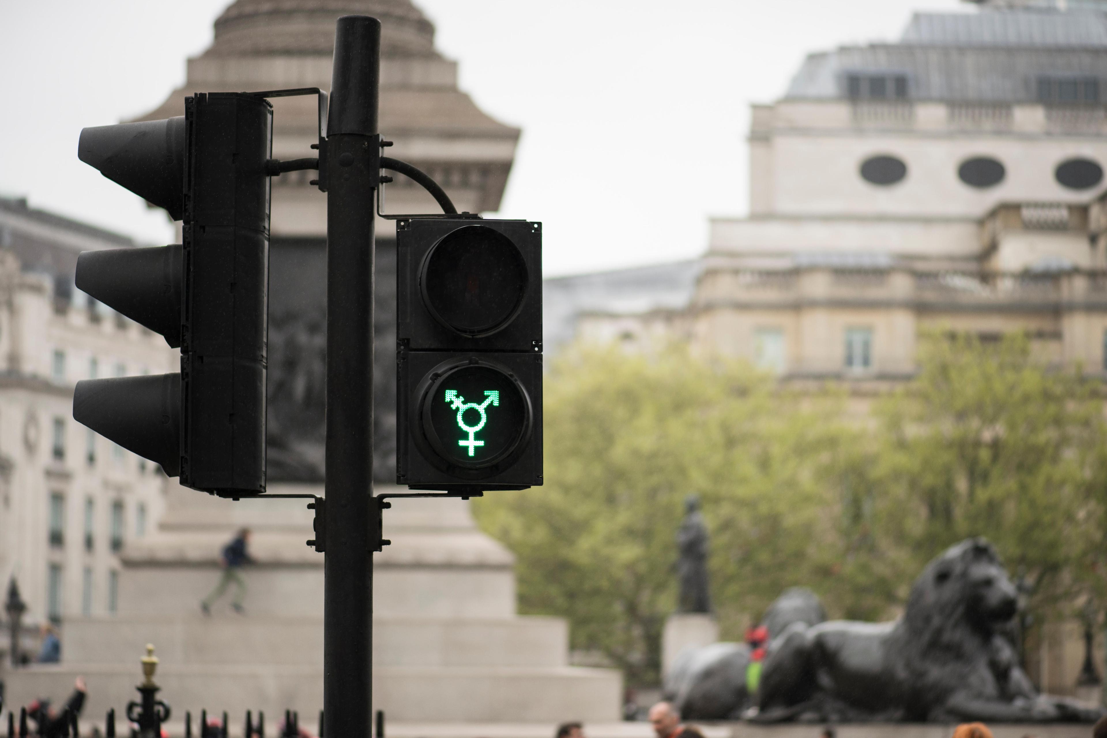 A traffic light showing a green transgender symbol in front of a historic city square with statues and buildings.