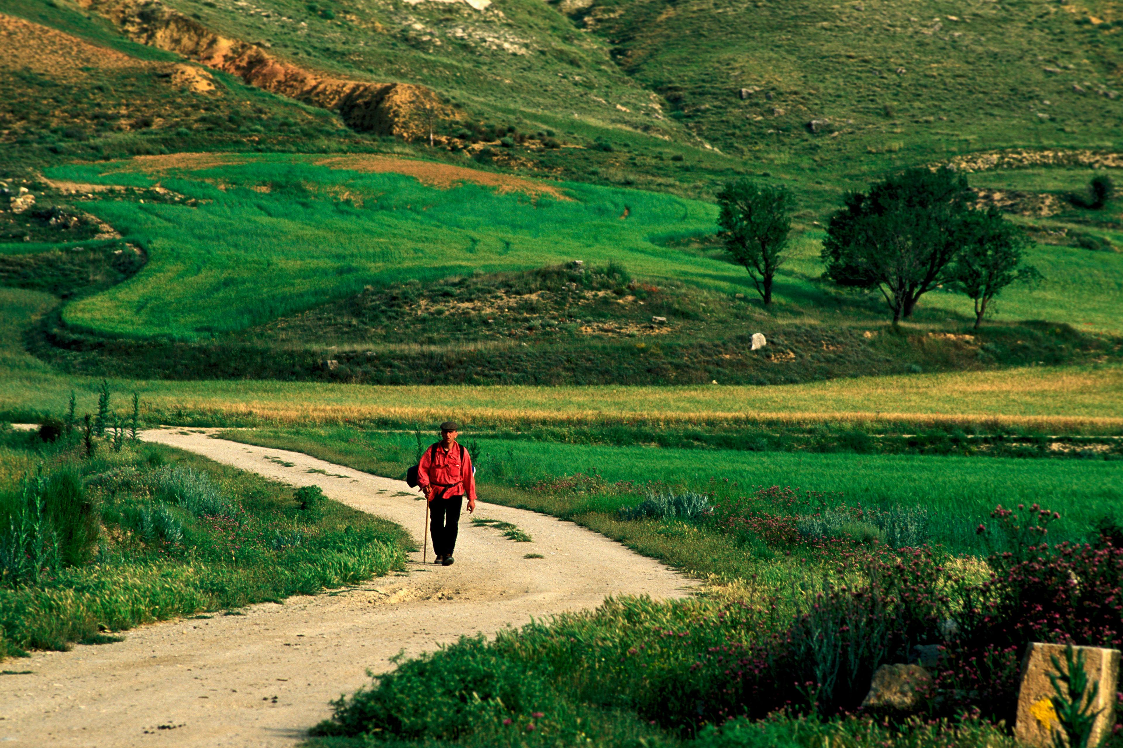 A person wearing a red jacket and a backpack walking on a winding path through lush green fields with hills and trees in the background.